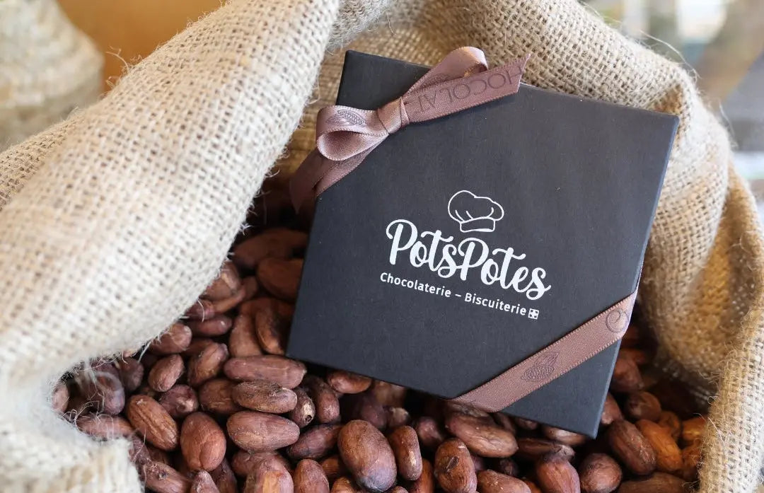 Boite de pralinés 16pièces PotsPotes