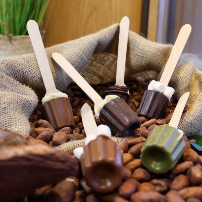 Cuillère chocolat chaud à choix